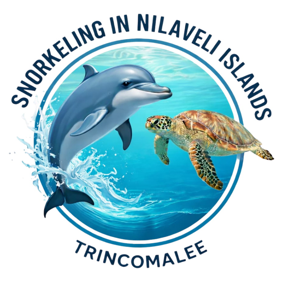 Snorkeling in Nilaveli Islands - Best Boat Tours in Trincomalee