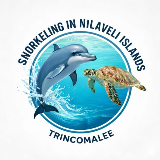 Snorkeling in nilaveli