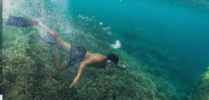 Angel Rock Snorkeling