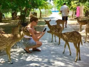 City tour trincomalee