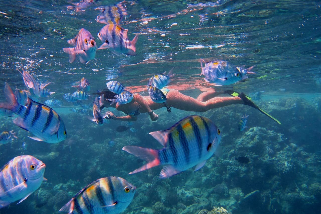 Pigeon Island Snorkeling