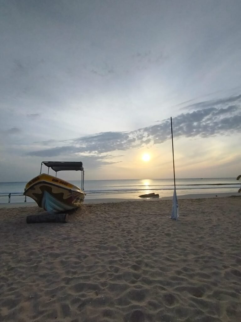 whale& dolphin watching trincomalee