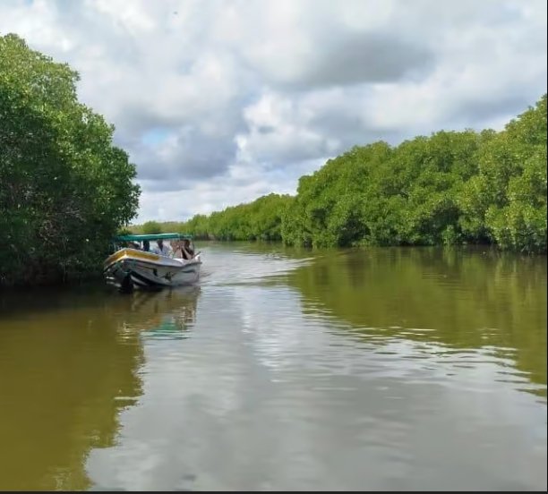 Lagoon-mangroves-tour-nilaveli
