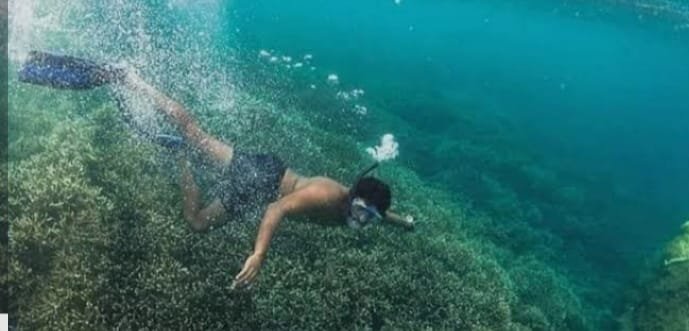 angel rock snorkeling nilaveli
