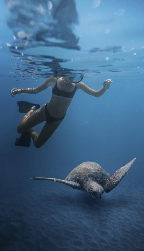 Pigeon island snorkeling nilaveli