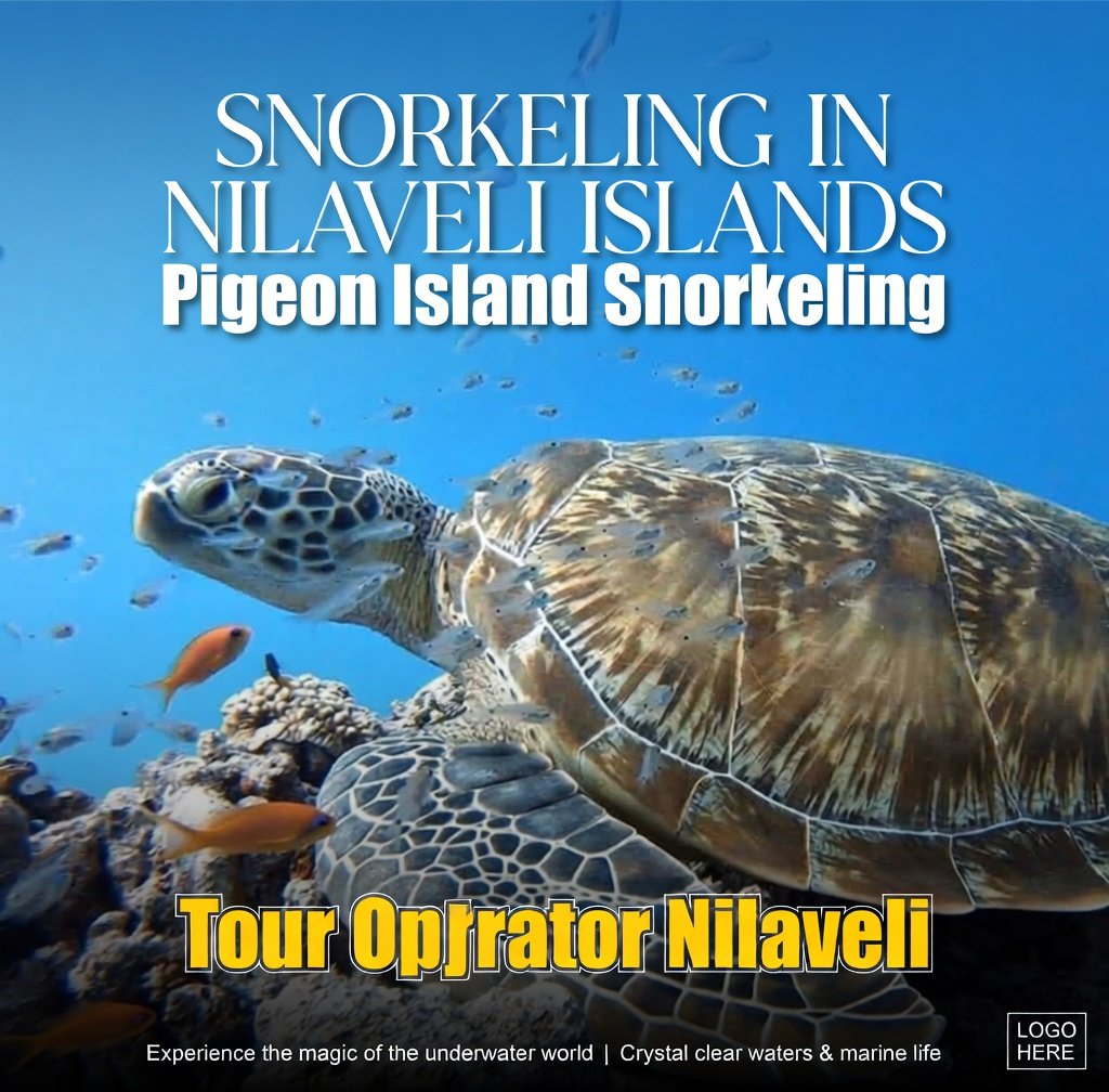 Pigeon island national park tour