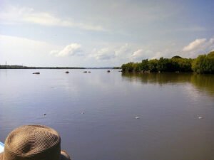 Lagoon-mangroves-tour-nilaveli