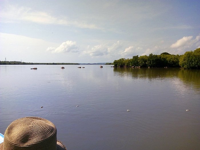 Lagoon-mangroves-tour-nilaveli