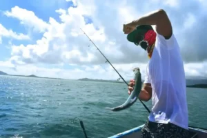 Fishing trip