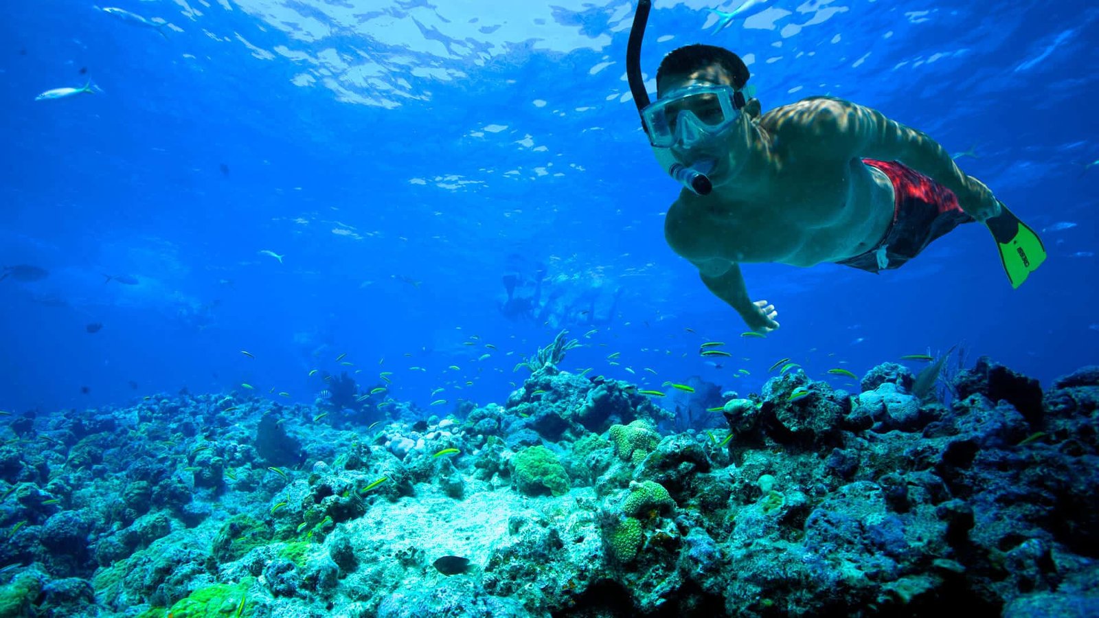 Pigeon island snorkeling nilaveli