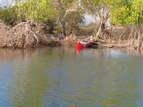 Nilaveli lagoon mangrove tour - best things to do in Trincomalee attractions near snorkeling
