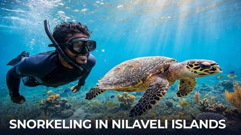 Beginners snorkeling in Nilaveli Islands with sea turtle - top-rated local operator with patient local guides for safe family tours at Pigeon Island Sri Lanka 2