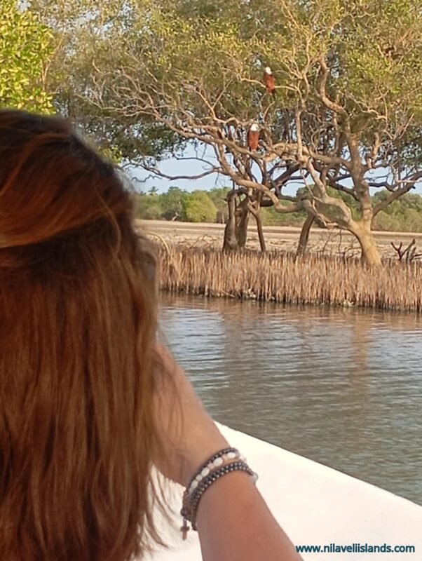 budjet friendly lagoon trip in nilaveli