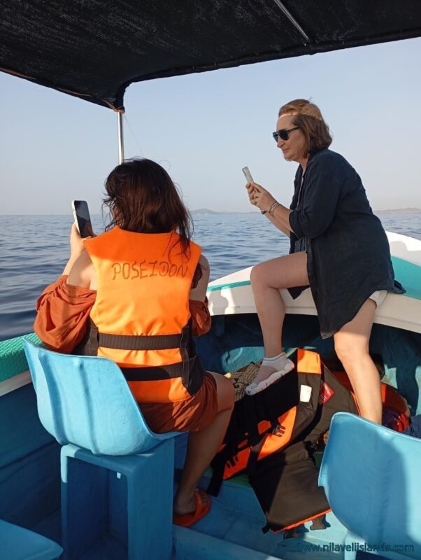 whale and dolphin morning near trincomalee harbour