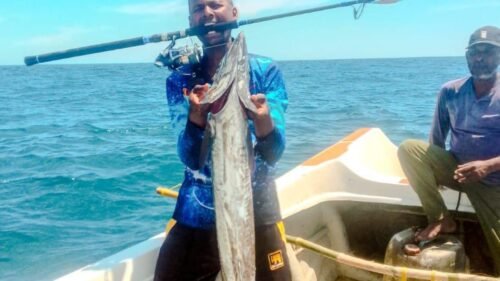 fishing tour in nilaveli,by catched our crew a big fish in deep sea