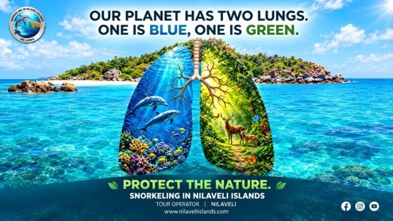 protect our planet snorkeling in nilaveli island