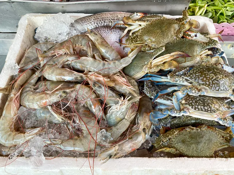 fruits de mer frais à Nilaveli