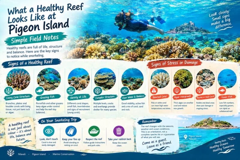 Educational illustration showing signs of a healthy coral reef and reef stress at Pigeon Island, Nilaveli.